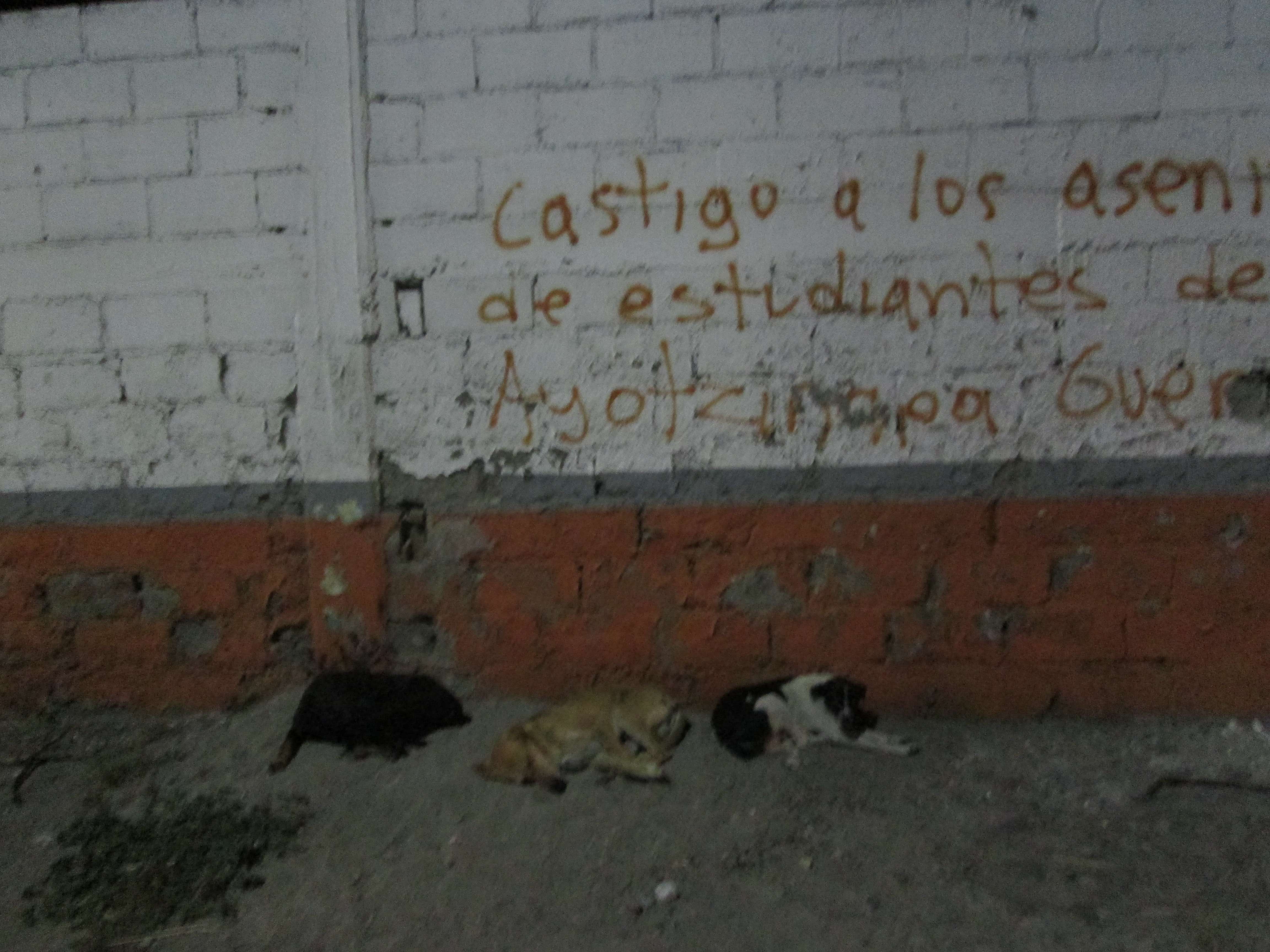Three stray dogs I saw on the way to the internet cafe, sleeping in front of graffiti which reads 'Castigo a los asen... de estudiantes de... Ayotzinqpa Guer...'