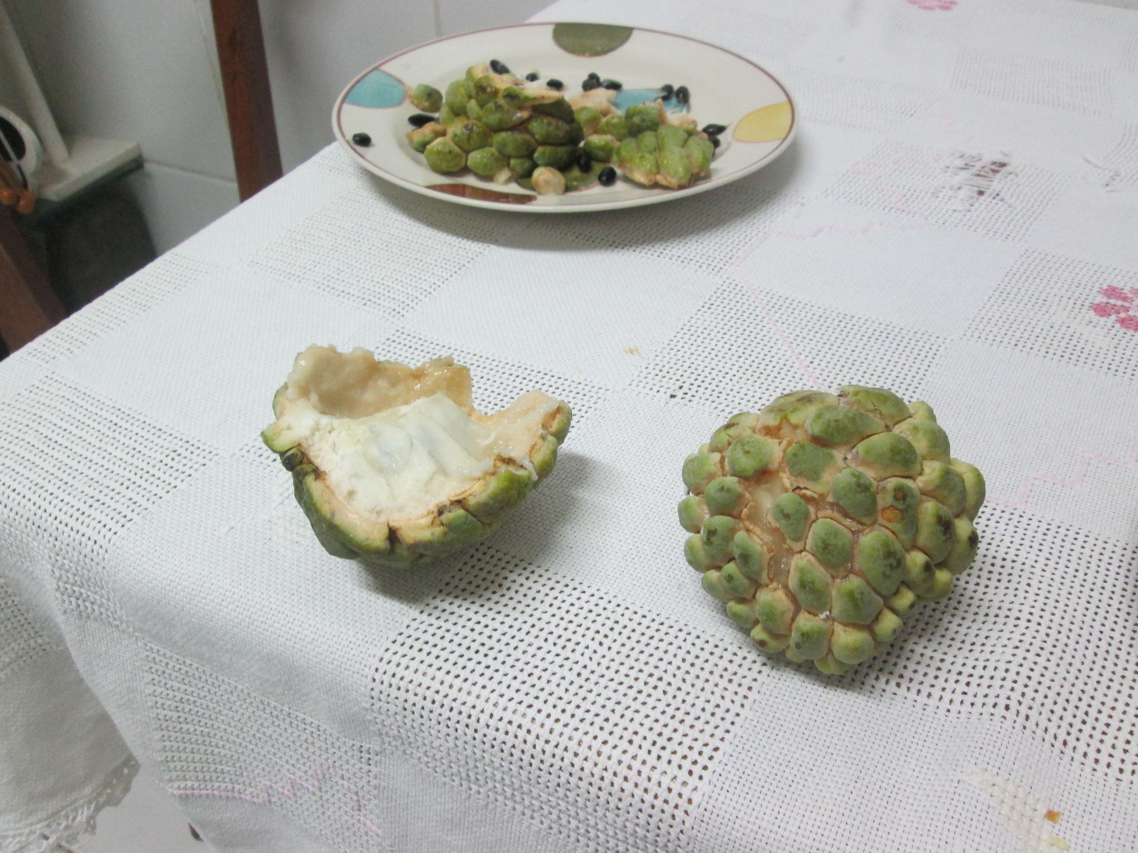 Strange fruit I discovered in Fortaleza