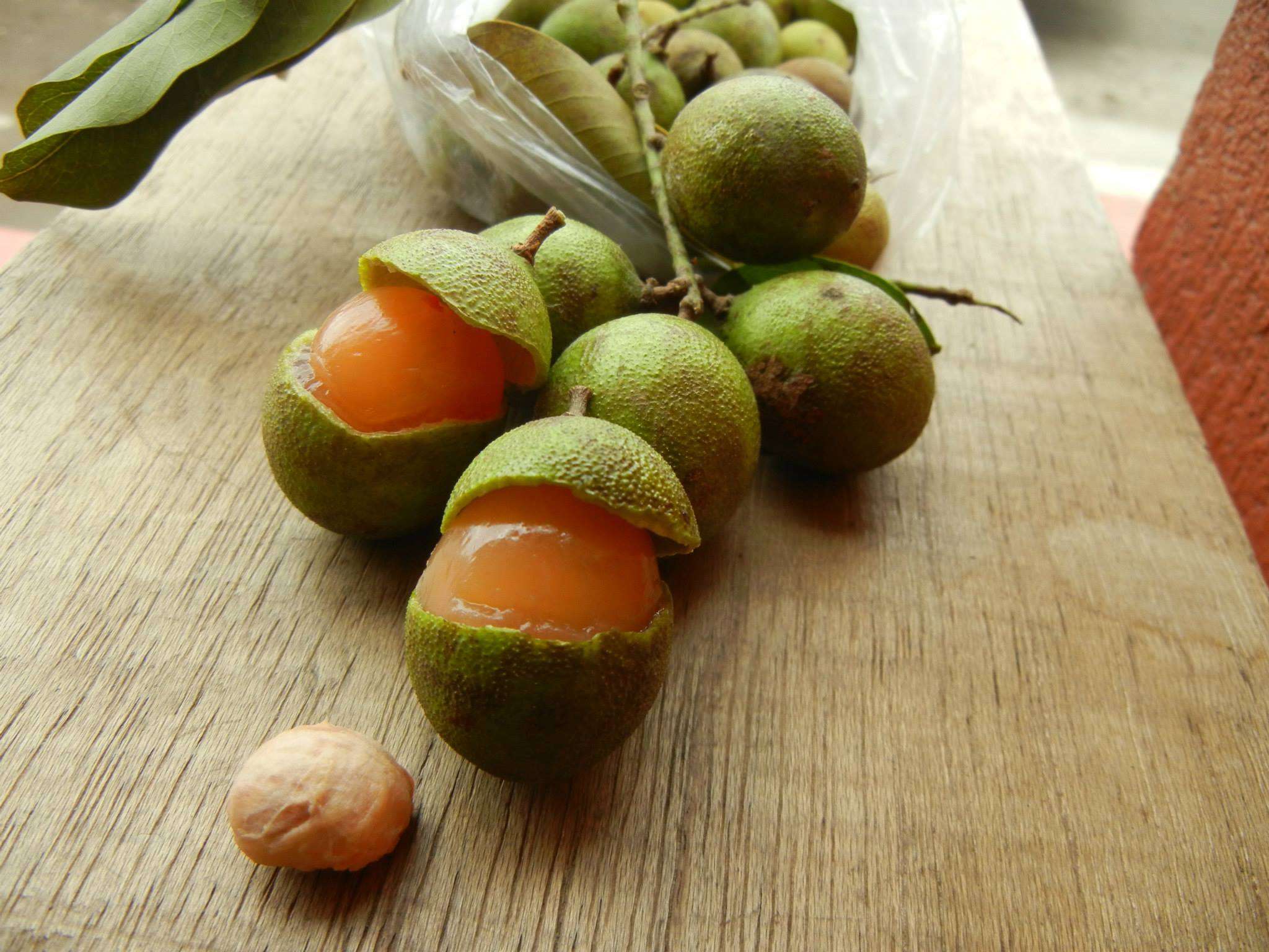 Limoncillos, a tarty fruit Pau and I had never heard of