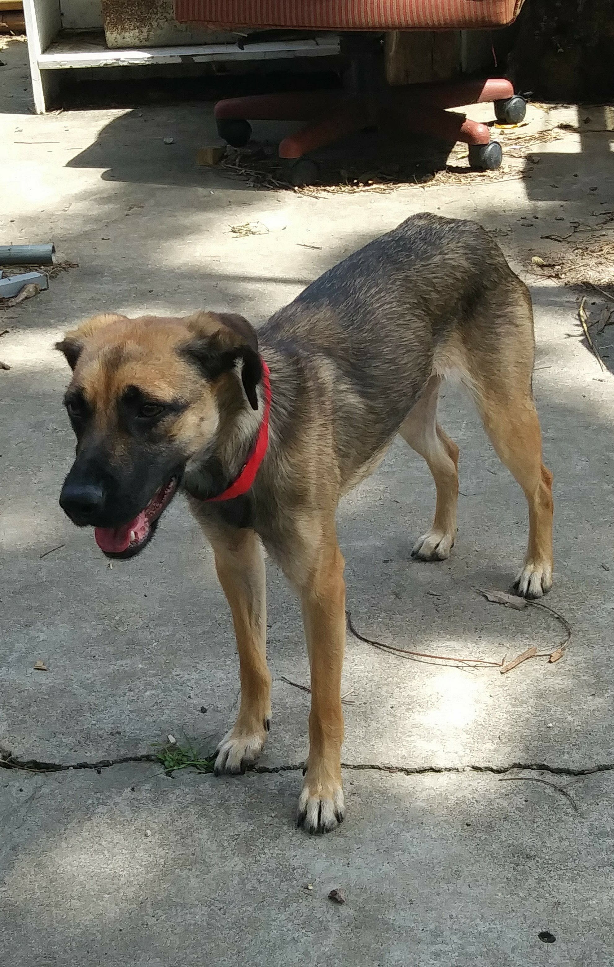 A photo of Hannah after her adoption in July 2018