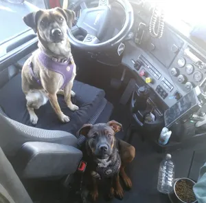 Hannah and Tina in my truck (Dec 2018)