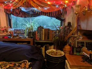 A photo of my bedroom, its plants, and books (July 2021)
